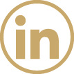 linkedin icon